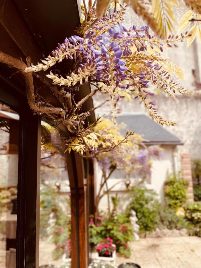 Hotel De La Sologne Beaugency Exterior foto